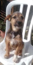 Zeca