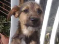 Zeca