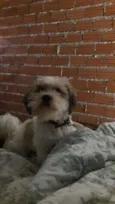 Pepyto