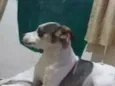Nina 
