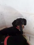 Mayla e Nunu