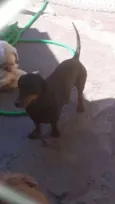 Mayla e Nunu