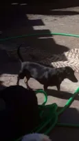 Mayla e Nunu