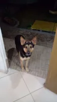Beethoven