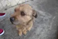 Bonno