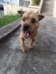 Bonno