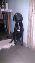 AQUIM