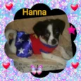Hanna