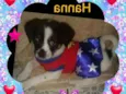 Hanna