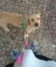 Cremilda