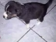 Não tem