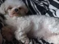 Yulli