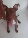 Samantha 
