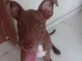 Samantha 