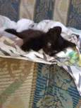 nina