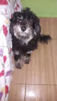 Pretinho