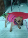 Princesa
