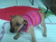 Princesa