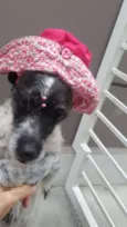 MARGARIDA