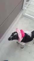 MARGARIDA