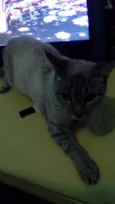 Gucci (Guti)