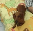 Tieta