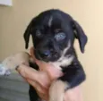 VOCÊ ESCOLHE!