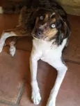 Ian