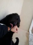 nao sabemos