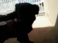 nao sabemos