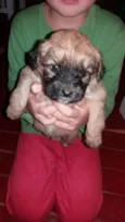 Keit caramelo boby vini