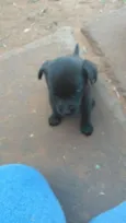 Keit caramelo boby vini