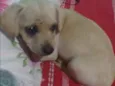 Fluffy