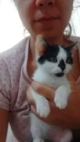 Cazuzinha