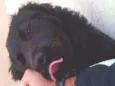 nao sabemos