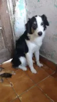 Panda e Keyth
