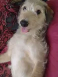 Spike 
