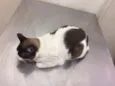 Nao sei