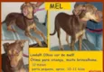 MEL