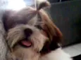 Romeu