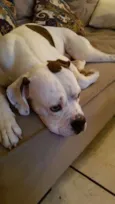 Zulu