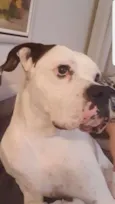 Zulu