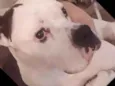 Zulu