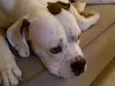 Zulu
