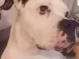 Zulu