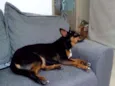 Nina