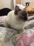 Lilly