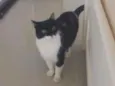Kate