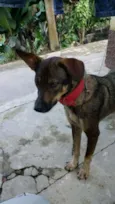 Neguinha 