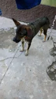 Neguinha 